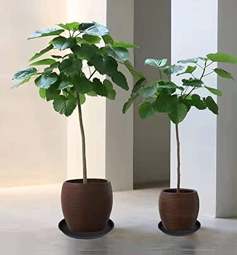 2 Pack of 8 inch Plant Saucer Clear, Heavy Duty Plastic Plant Water Tray 8 inch - Image 5