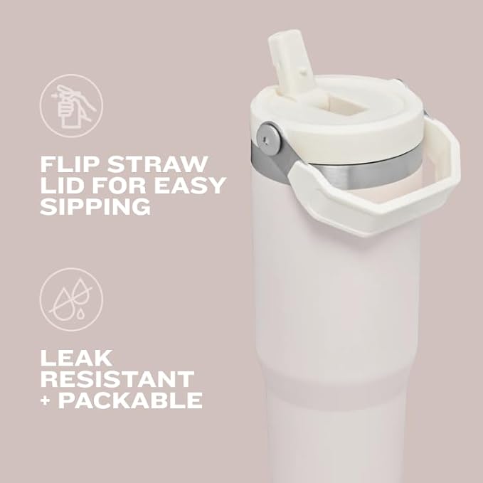 STANLEY IceFlow Flip Straw Tumbler - Image 6