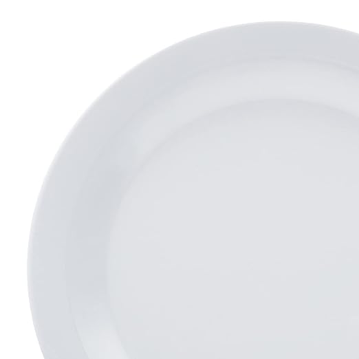 Amazon Basics Melamine Dinner Plates - Image 5