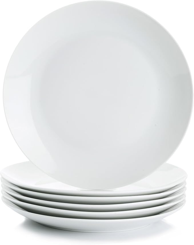 Miicol Ceramic Dinner Plates Set of 6, Modern Round Porcelain Dishes by Miicol
