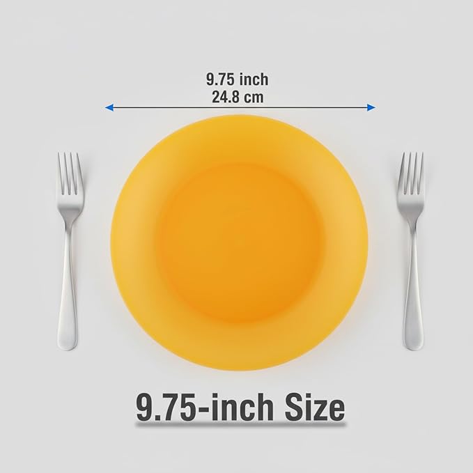 AOYITE 10 inch Plastic Plates Reusable Set 12, BPA Free Kids Plate Autumn | - Image 3
