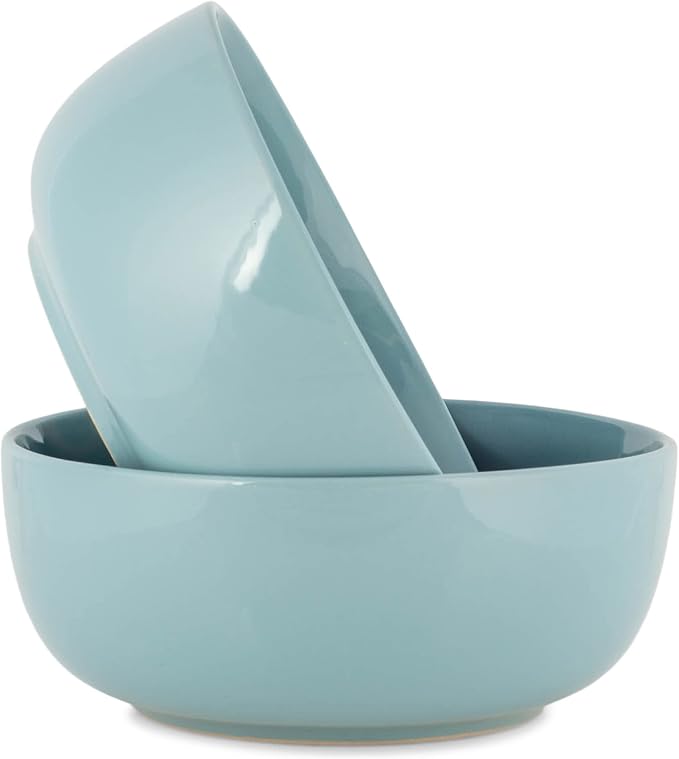 Elanze Designs Bistro Glossy Ceramic 8.5 inch Large Serving Bowls Set of 2 by ElanzeDesigns