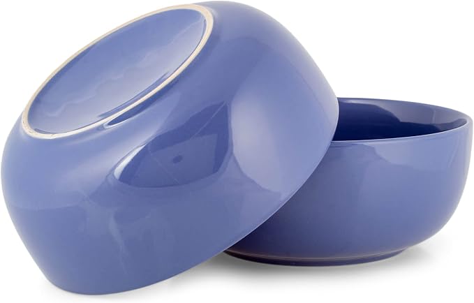 Elanze Designs Bistro Glossy Ceramic 8.5 inch Large Serving Bowls Set of 2 - Image 5