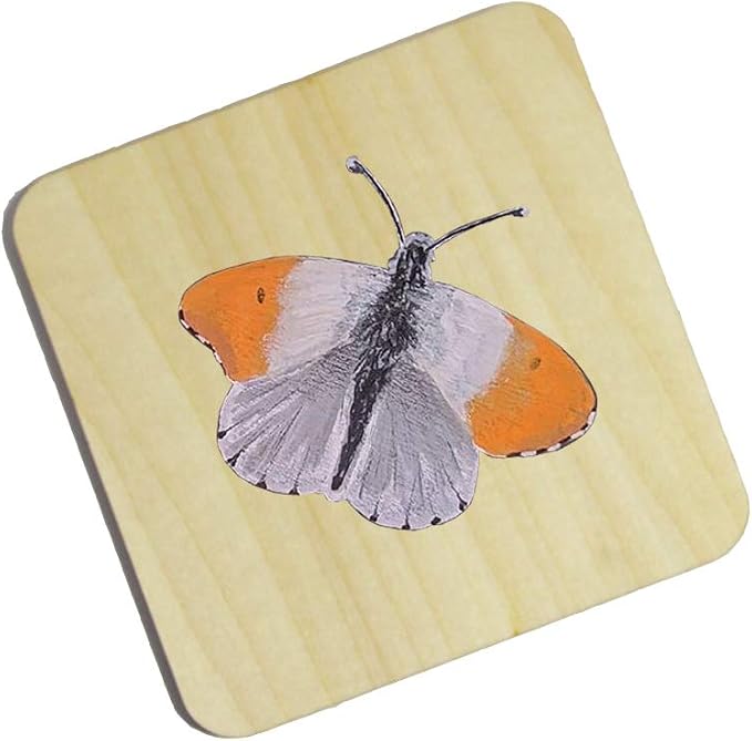 MONKEY SUN 48 Pieces 4 x 4 Inches Unfinished Square Wood Blank Coaster Bulk - Image 7