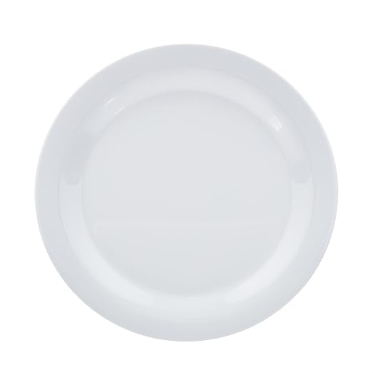 Amazon Basics Melamine Dinner Plates - Image 3