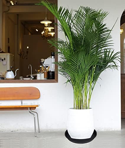 2 Pack of 14 inch Plant Saucer, Heavy Duty Round Plant Trays - Image 7