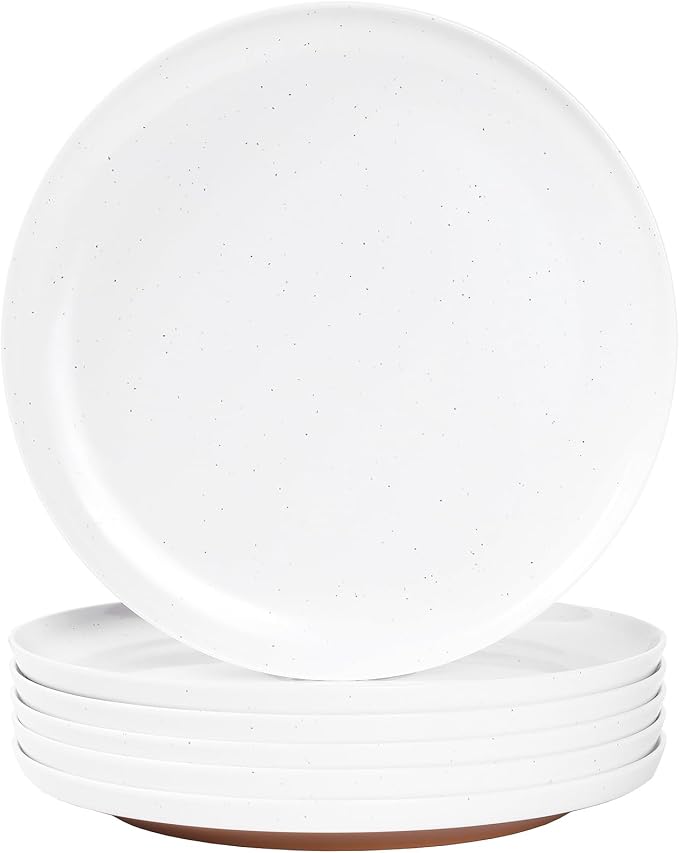 Webbylee 10.25" Melamine Dinner Plates Set of 6 by Webbylee