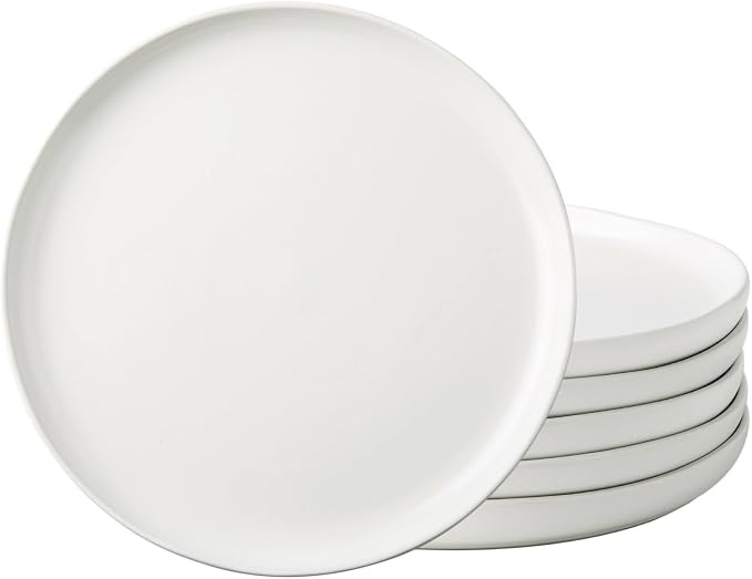 AmorArc Ceramic Dinner Plates Set of 6, 10.25 Inch Stoneware Dishes Set | Wavy by AmorArc