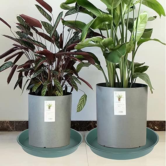 6 Pack of 7 inch Plant Saucer, Heavy Duty Plastic Plant Water Tray 7 inch Round - Image 5