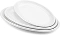 Foraineam Set of 3 Sizes Porcelain Oval Serving Platters White Dinner Plates by Foraineam