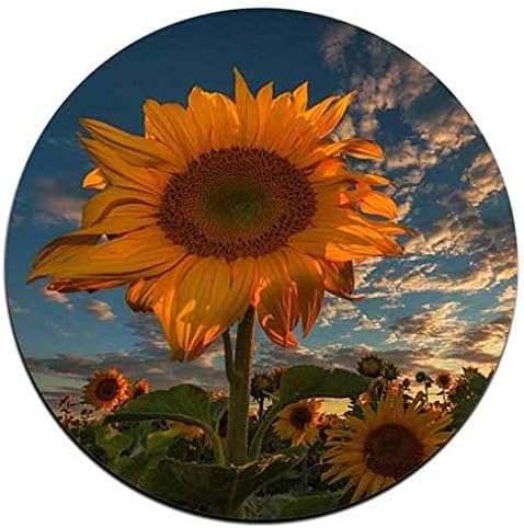 Sunflower Round Coaster Set - Image 5
