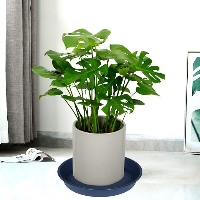 3 Pack of 20 22 inch Plant Saucer, 3.6" Depth Tray, Large Deep Garden Plastic - Image 7