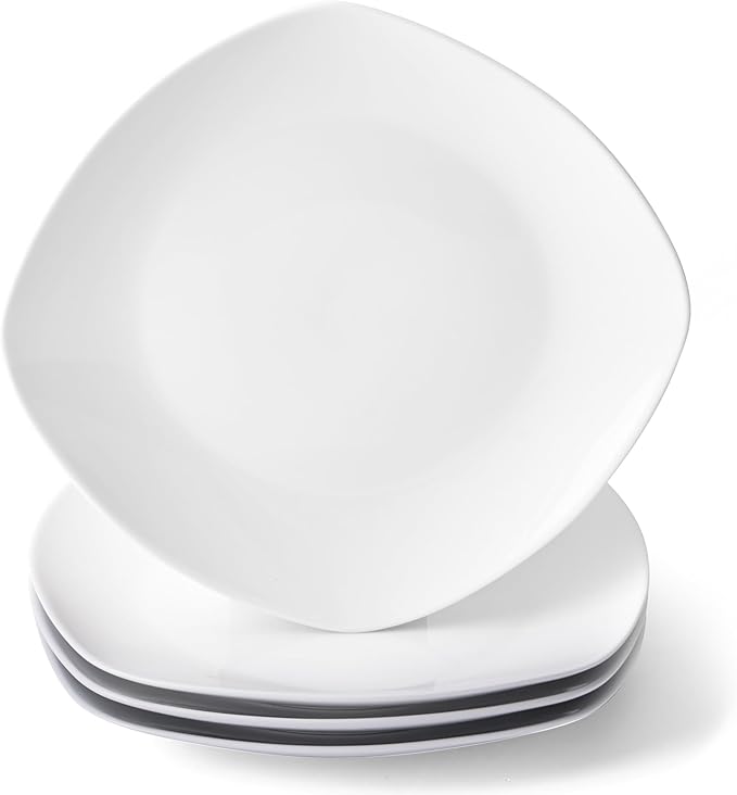 10" Square Dinner Plates Set of 4, Appetizer & Dessert, Dishwasher Safe by fMBB