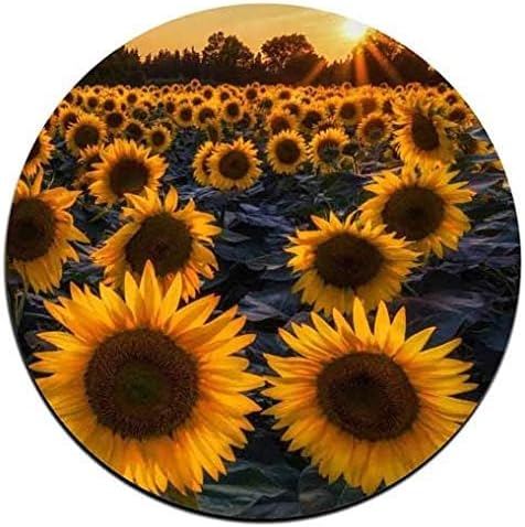 Sunflower Round Coaster Set - Image 3