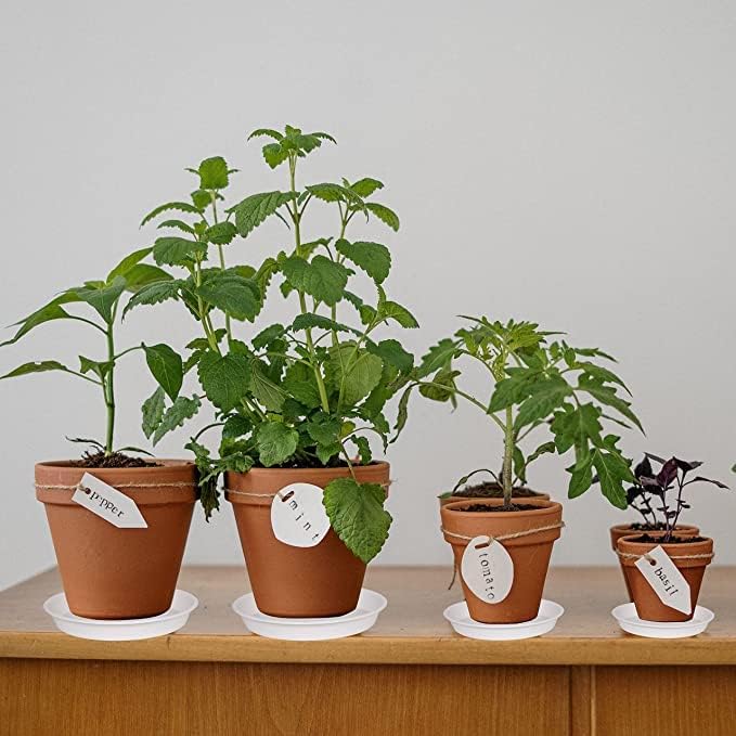 2 Pack of 10 inch Plant Saucer Gray, Heavy Duty Plastic Plant Saucer 10 inch - Image 4