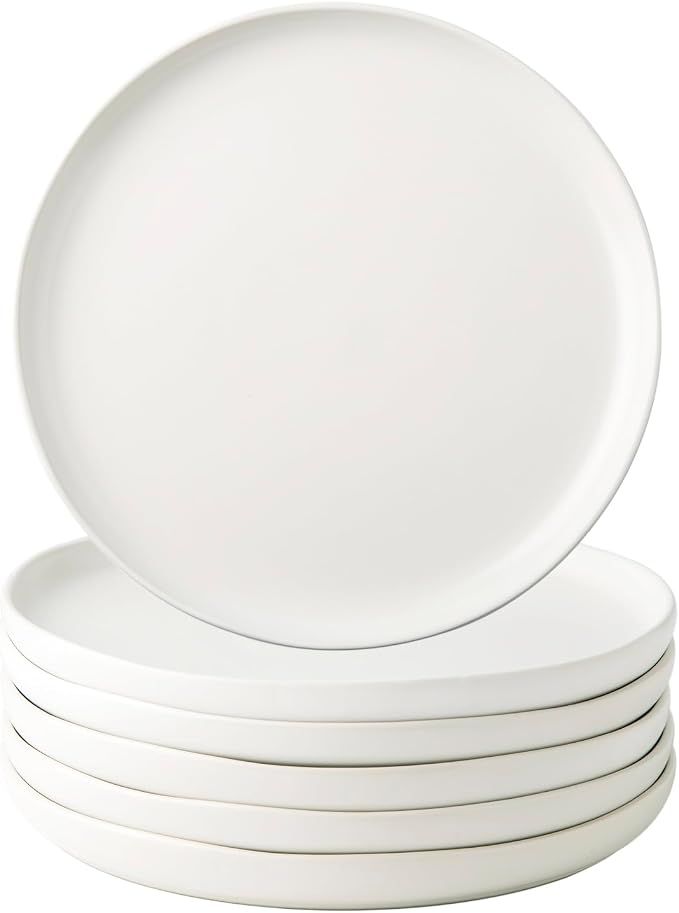 AmorArc Ceramic Dinner Plates Set of 6, 10.25 Inch Stoneware Dishes Set | Wavy by AmorArc
