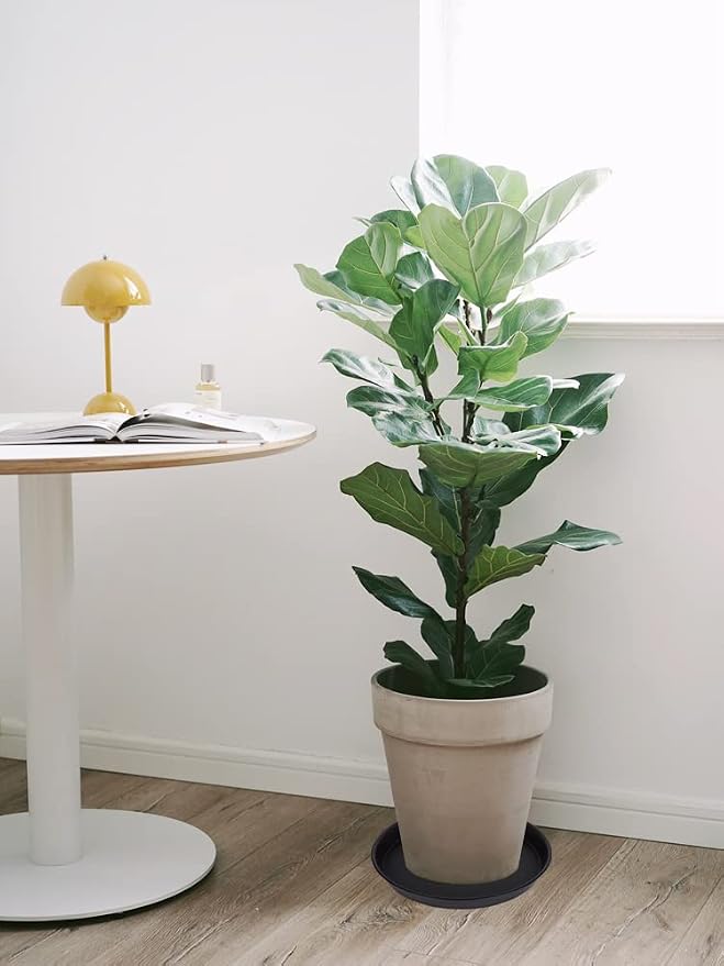 2 Pack of 16 17 inch Plant Saucer, 2.3" Depth, Plant Trays - Image 6