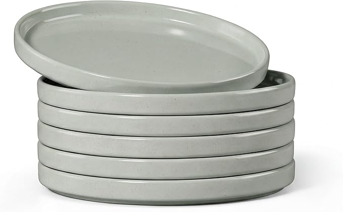 E-far 7.9 Inch Ceramic Dinner Plates, 6-Piece Stoneware Salad Plates, Chip & by E-far