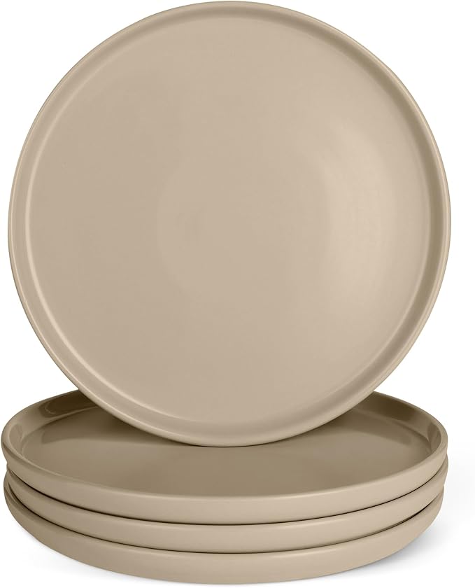 Amazon Basics Glazed Stoneware Dinner Plates, Ceramic 4-Piece Set, Dishwasher by AmazonBasics