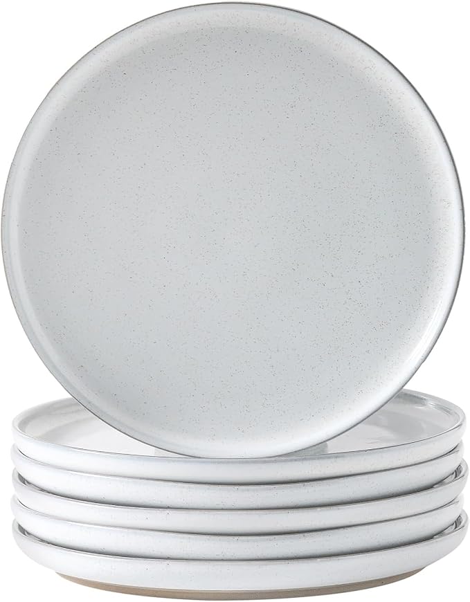 Ceramic Dinner Plates Set of 6, Stoneware 10 Inch, Dishwasher and Oven Safe by Tikooere