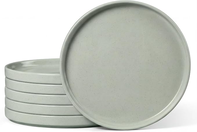 E-far Dinner Plates Set of 6, 10.5 Inch Stoneware Dinner Plate, Chip & Scratch by E-far
