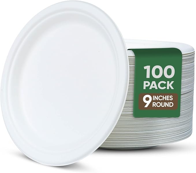 TaidMiao Heavy Duty Disposable Paper Plate 9 inch, 100% Compostable, 100 Pack | by TaidMiao