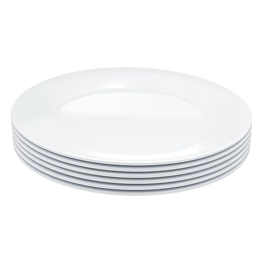 Amazon Basics Melamine Dinner Plates - Image 2
