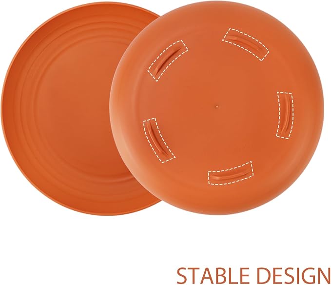 Large Wheat Straw Dinner Plates - Image 5