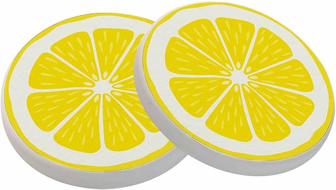 Lemon Slice Style Citrus Fresh Fruit Juice Organic Summer Absorbent Drink by oFloral