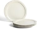 Stone Lain Oasis Stoneware Plate Dish Set, 4-Piece Dinner Plates by Unknown