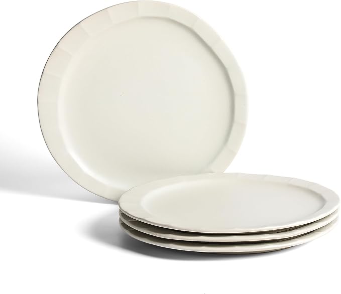 Stone Lain Oasis Stoneware Plate Dish Set, 4-Piece Dinner Plates by Unknown