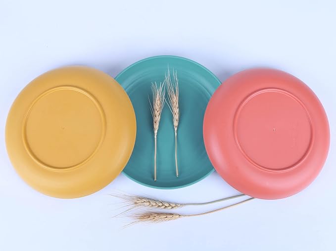 7.8 Inches Unbreakable Wheat Straw Plates - Image 5