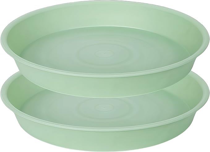 2 Pack of 8 inch Plant Saucer Clear, Heavy Duty Plastic Plant Water Tray 8 inch by Bleuhome