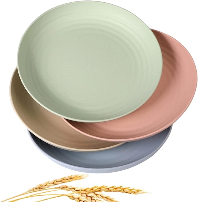 CAMBUY Wheat Straw Plates 4 Pack 10 Inch Extra Large Plate Set | Unbreakable by CAMBUY