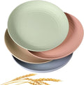 CAMBUY Wheat Straw Plates 4 Pack 10 Inch Extra Large Plate Set | Unbreakable by CAMBUY