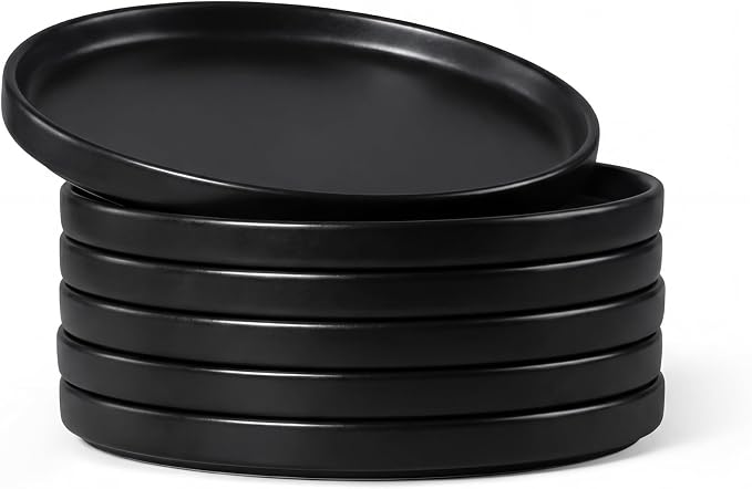 E-far 7.9 Inch Ceramic Dinner Plates, 6-Piece Stoneware Salad Plates, Chip & by E-far