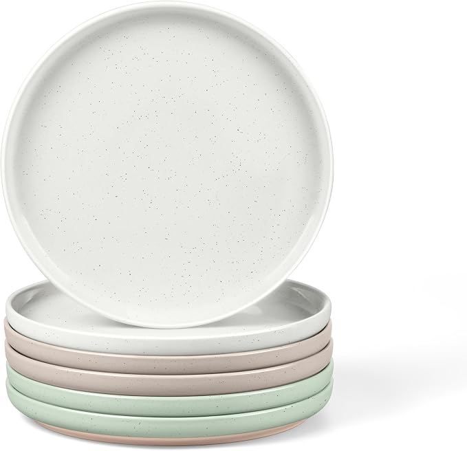 LIANYU Stoneware Salad Dinner Plates Set of 6, 7.75 Inch Porcelain Dinner Plate by LIANYU