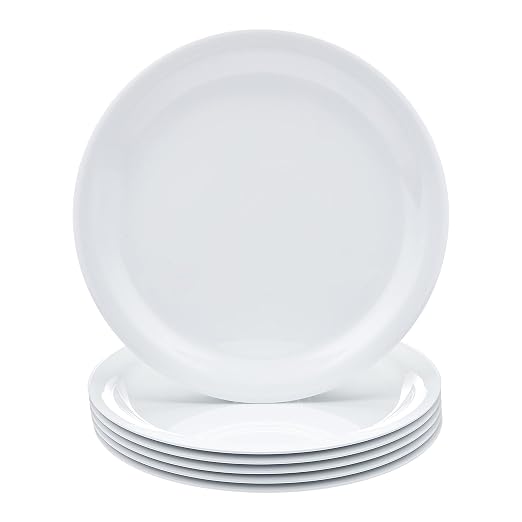 Amazon Basics Melamine Plastic Plate, Dishwasher Safe, BPA Free, 6 Piece Set by AmazonBasics