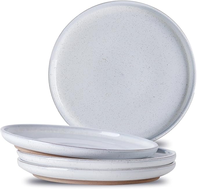 Ceramic Dinner Plates Set of 4 by Tikooere