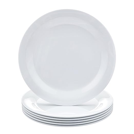 Amazon Basics Melamine Dinner Plates by AmazonBasics