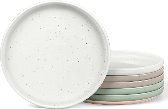 LIANYU Stoneware Dinner Plates Set of 6, 10.5 Inch Porcelain Dinner Plates by LIANYU