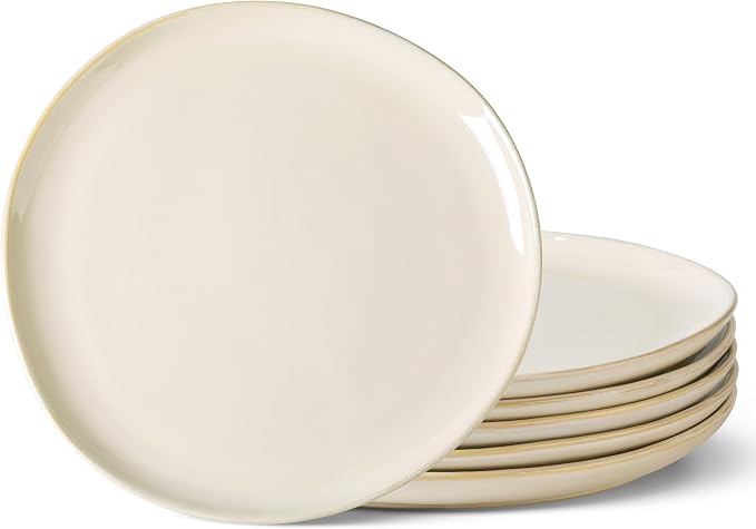 AmorArc Ceramic Plates Set of 6, 8.5 Inch Stoneware Small Dinner Plates Set | by AmorArc