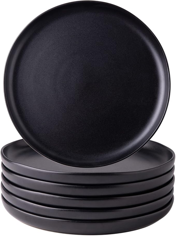 AmorArc Ceramic Dinner Plates Set of 6, 10.25 Inch Stoneware Dishes Set | Wavy by AmorArc