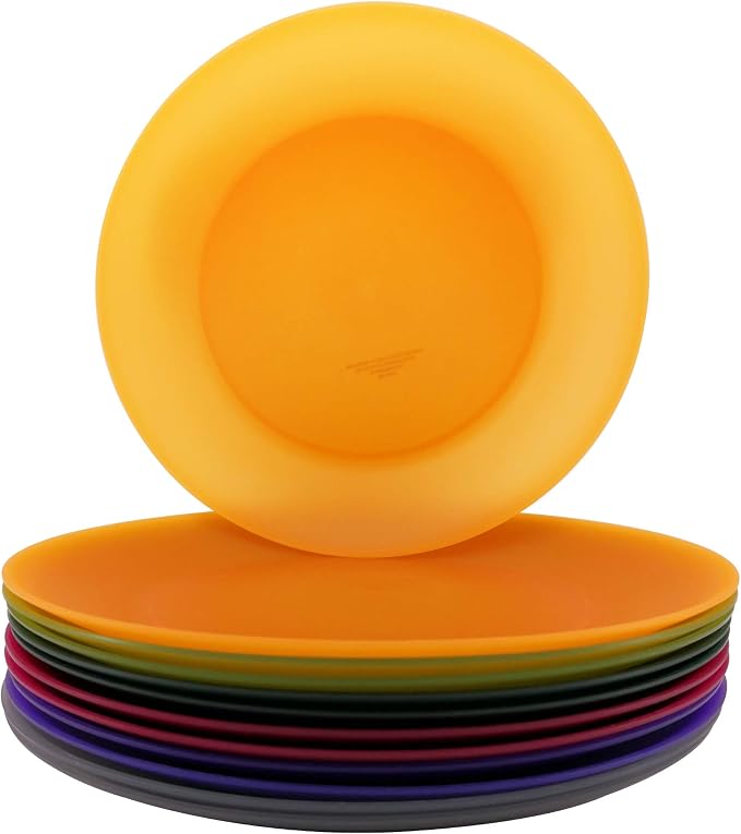 AOYITE 10 inch Plastic Plates Reusable Set 12, BPA Free Kids Plate Autumn | by AOYITE