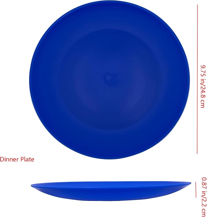 AOYITE 10 inch Plastic Plates Reusable Set 12, BPA Free Kids Plate Ocean | Food - Image 3