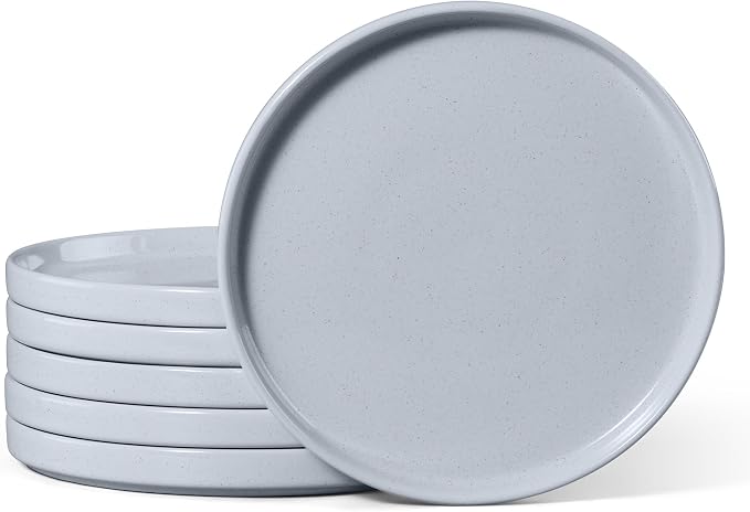 E-far Dinner Plates Set of 6, 10.5 Inch Stoneware Dinner Plate, Chip & Scratch by E-far