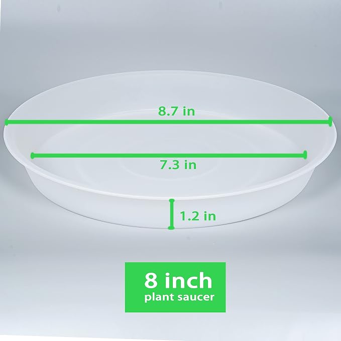 2 Pack of 8 inch Plant Saucer Clear, Heavy Duty Plastic Plant Water Tray 8 inch - Image 2