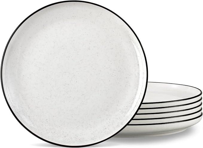 Ceramic White Dinner Plates Set of 6, 10.5 Inch Plates by SOVEGLEE