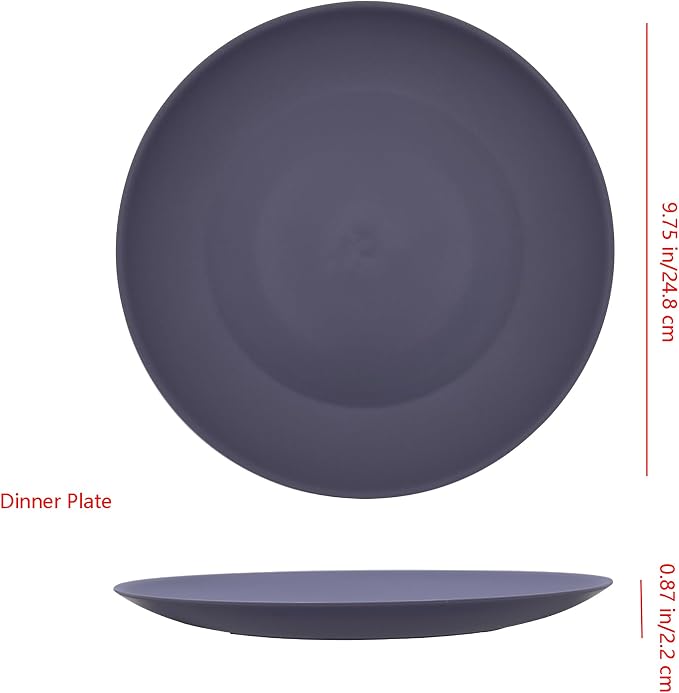 AOYITE 10 inch Plastic Plates Reusable Set 12, BPA Free Kid Plate Grey Tone | - Image 8