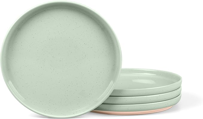LIANYU Dinner Salad Plates Set of 4, 7.75’’ Small and Round Stoneware Dessert by LIANYU